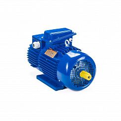 Электродвигатель 5МТН 225 L6 55/1000 IM1003