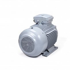 Эл.двигатель ESQ PR 315 LA6-SDN-Б1-S32-IE2 110/1000 IM B3