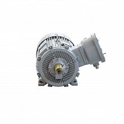 Электродвигатель 2АИМУР 280 L4 У1, 380/660В, класс изоляции F, 1ExdbIIBT4 Gb X, РТС (статор), подшипники SKF, 200/1500 IM1001