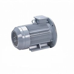 Электродвигатель ESQ PR 100 S2 GST-Б1-S12-IE2 4/3000 IM2081