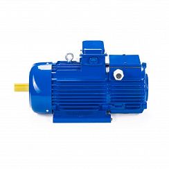 Электродвигатель 5МТН 280 L10 75/600 IM1004