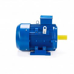 Электродвигатель ESQ 160 L4-SDN- 15/1500 IMB3