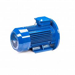 Электродвигатель 5АИ 100 L4 ED 4/1500 IM2081