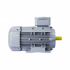 Эл.двигатель ESQ PR 100 LB4-SDN-Б1-S12-IE3 3/1500 IM B34