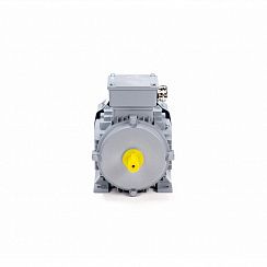 Эл.двигатель ESQ PR 80 A4-SDN-Б1-S12-IE2 0.55/1500 IM B3