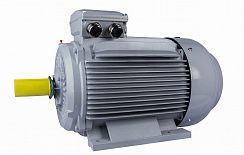 Эл.двигатель ESQ PR 315 LA6-SDN-Б1-S12-IE2 110/1000 IM B3