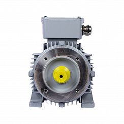 Эл.двигатель ESQ PR 100 LB4-SDN-Б1-S12-IE2 3/1500 IM B34