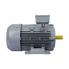 Электродвигатель ESQ PR 100 L6-SDN-Б1-S12-IE2 1,5/1000 IMB3