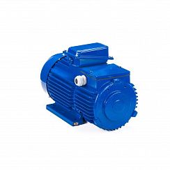 Электродвигатель 5МТН 225 L8 37/750 IM1003