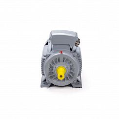 Эл.двигатель ESQ PR 100 LA2-SDN-Б1-S12-IE2 3/3000 IM B3