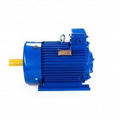 Электродвигатель 5МТКН 225 L6 55/1000 IM1003