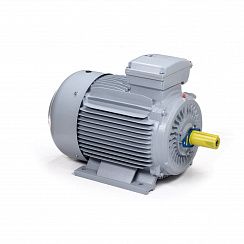 Эл.двигатель ESQ PR 355 MА4-SDN-Б1-S32-IE3 250/1500 IM B3