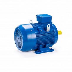 Электродвигатель ESQ 160 L4-SDN- 15/1500 IMB3