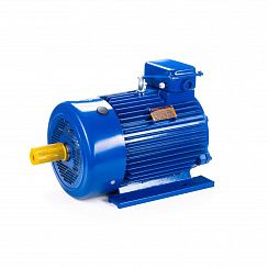 Электродвигатель 5МТКН 200 LB6 30/1000 IM1003