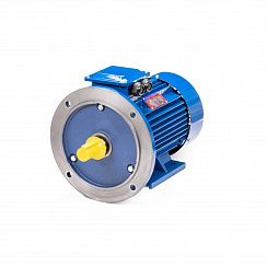 Электродвигатель 5АИ 112 М2 7,6/3000 IM2081