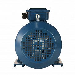 Электродвигатель 5АИ 100 L6 ED 2,2/1000 IM1081