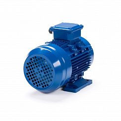 Электродвигатель ESQ 80 A4-SDN- 0,55/1500 IMB34