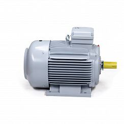 Эл.двигатель ESQ PR 200 LA2-SDN-Б1-S12-IE2 30/3000  IM B3