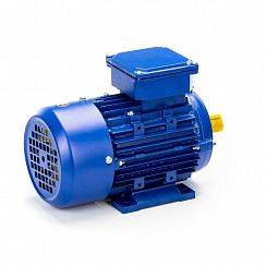 Электродвигатель 5АИ 71 В6 0,55/1000 IM1081