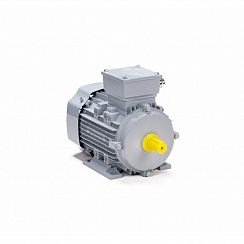 Эл.двигатель ESQ PR 80 A4-SDN-Б1-S12-IE2 0.55/1500 IM B3