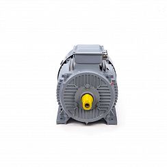 Эл.двигатель ESQ PR 180 M4 GST-Б1-S12-IE2 30/1500 IM 1001