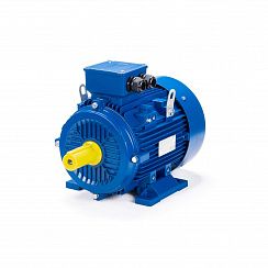 Электродвигатель ESQ 160 L4-SDN- 15/1500 IMB3