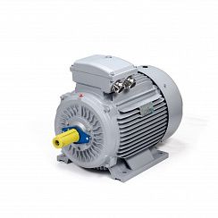 Эл.двигатель ESQ PR 200 L4-SDN-Б1-S12-IE3 30/1500  IM B3