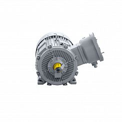 Электродвигатель 2АИМУР 315 М4 У2,5 660/1140В, класс изоляции Н, РВЕхdbI Mb X, РТC (статор), клеммная коробка сверху, подшипники SKF, 250/1500 IM1001