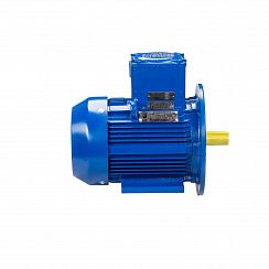 Электродвигатель АИМУ 100 S2 У1, 380В, 1ExdIIBT4 Gb, 4/3000 IM2081