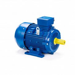 Электродвигатель ESQ 160 L4-SDN- 15/1500 IMB3