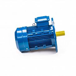 Эл.двигатель 5АИ 100 L2 5.5/3000 IM 3081