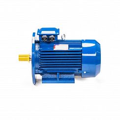 Электродвигатель 5АИ 112 М2 7,6/3000 IM2081