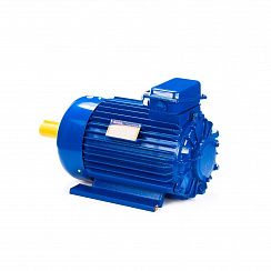 Электродвигатель 5МТКН 011-6 1,4/1000 IM1001