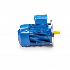 Электродвигатель 5АИ 100 L6 ET2 2,2/1000 IM2081