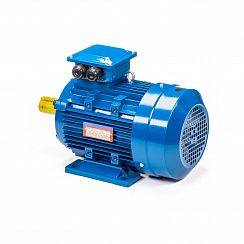 Электродвигатель 5АИ 132 S6 5,5/1000 IM1081