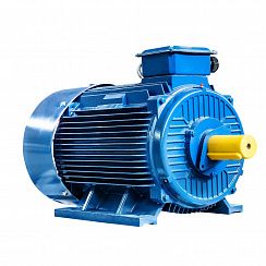 Электродвигатель 5АИ 355 S4 250/1500 IM1001
