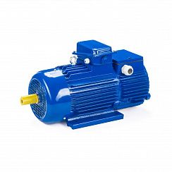 Электродвигатель 5MTH 200 LA8 15/750 IM1003