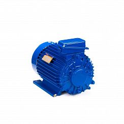 Электродвигатель 5МТКН 011-6 1,4/1000 IM1001