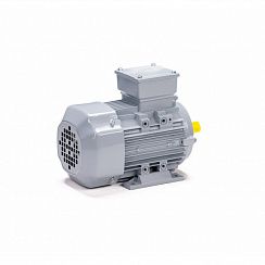 Электродвигатель ESQ PR 80 В2-SDN-Б1-S12-IE2 1,1/3000 IMB3