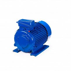 Электродвигатель 5MTКH 200 LB8 22/750 IM1003