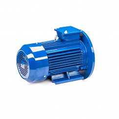Электродвигатель 5АИ 112 М2 7,6/3000 IM2081