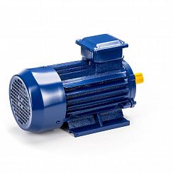 Электродвигатель 5АИ 90 L2 3/3000 IM1081