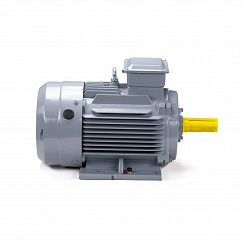 Эл.двигатель ESQ PR 160 M4 GST-Б1-S12-IE2 18.5/1500 IM 1001