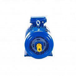 Электродвигатель 5МТКН 200 LB6 30/1000 IM1003