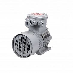 Электродвигатель АИМУР 112 МВ6 У2,5 380/660В, класс изоляции Н, PBExdI Mb, 4/1000 IM1081